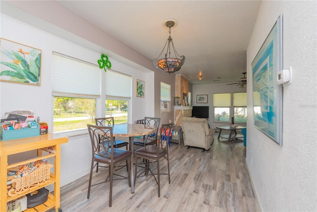 313 Jefferson Ave S, Oldsmar, FL 34677 - dining room with light wood-style flooring and baseboards