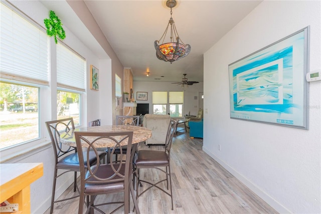 313 Jefferson Ave S, Oldsmar, FL 34677 - dining space with light wood finished floors, plenty of natural light, ceiling fan, and baseboards
