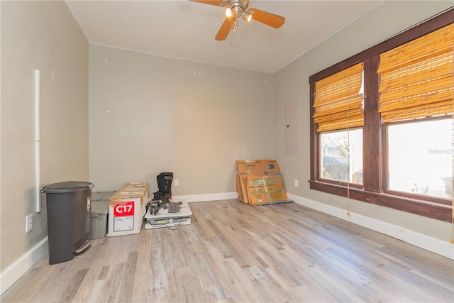 313 Jefferson Ave S, Oldsmar, FL 34677 - miscellaneous room with baseboards, wood finished floors, and a ceiling fan