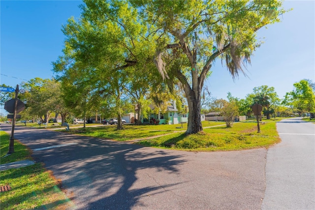 313 Jefferson Ave S, Oldsmar, FL 34677 - view of street with traffic signs