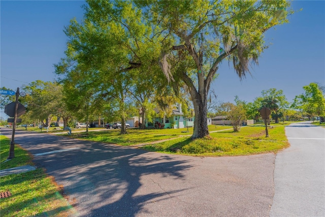 313 Jefferson Ave S, Oldsmar, FL 34677 - view of property's community featuring a yard