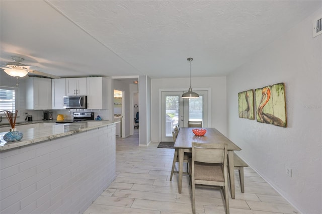 kitchen with stainless steel appliances, plenty of natural light, a ceiling fan, and white cabinetry