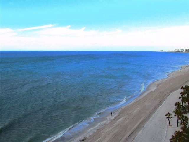 water view featuring a beach view