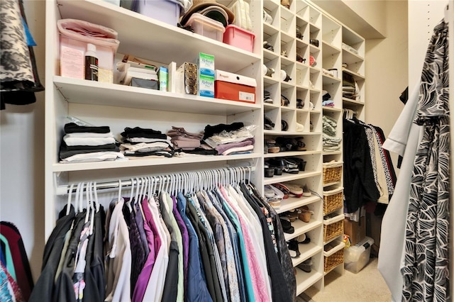 spacious closet with carpet flooring