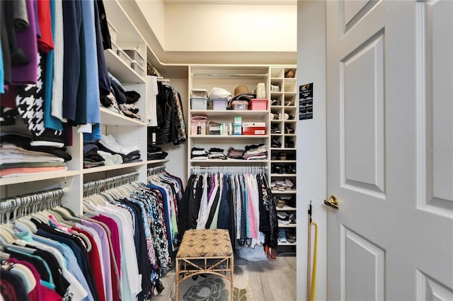 spacious closet featuring wood finished floors