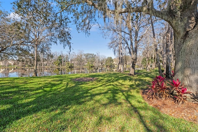 view of yard featuring a water view