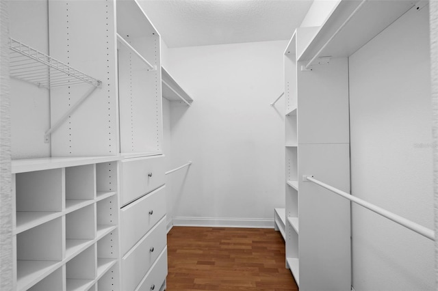 walk in closet featuring wood finished floors