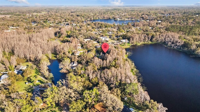 drone / aerial view with a forest view and a water view