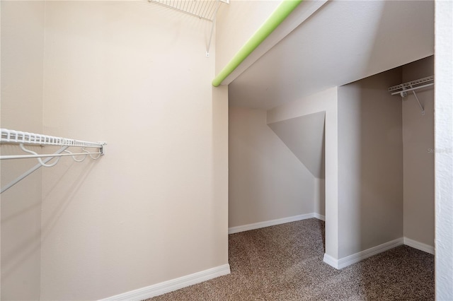 spacious closet featuring carpet flooring