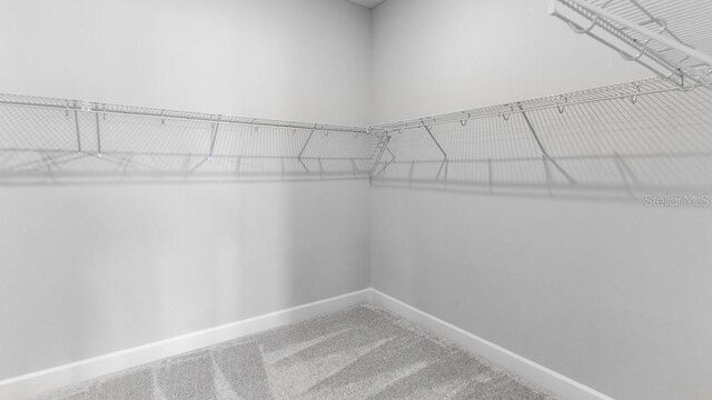 5646 Nevis Ter, Kissimmee, FL 34758 - walk in closet featuring carpet flooring