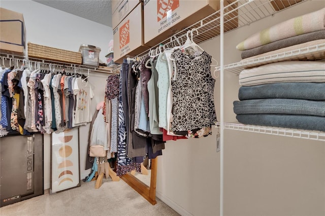 spacious closet with carpet