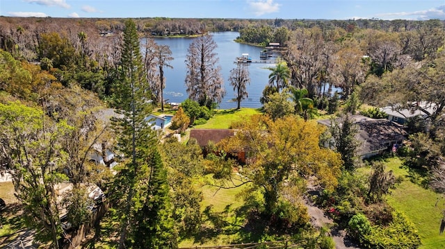 drone / aerial view with a water view and a wooded view