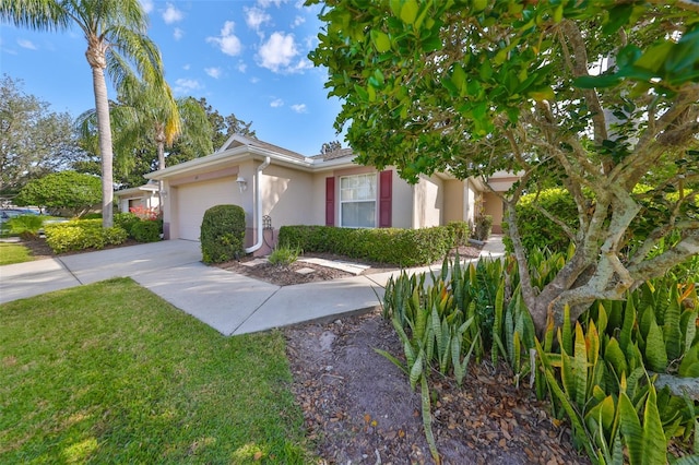 view of front facade with concrete driveway, a front lawn, an attached garage, and stucco siding