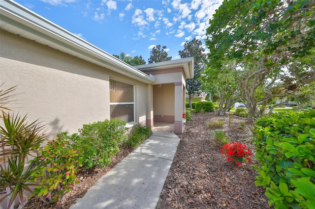 doorway to property featuring stucco siding