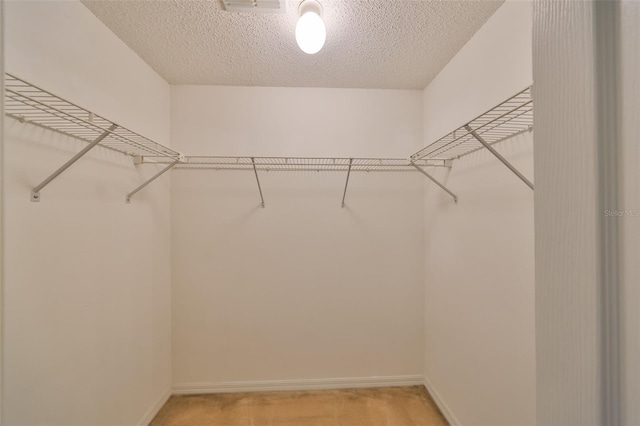 spacious closet featuring light carpet