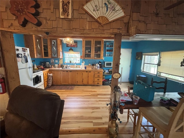 kitchen featuring glass insert cabinets, light wood-style floors, white appliances, and plenty of natural light