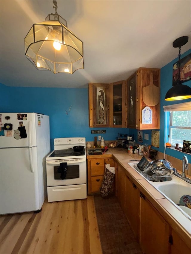 kitchen with white appliances, glass insert cabinets, brown cabinetry, and light wood finished floors