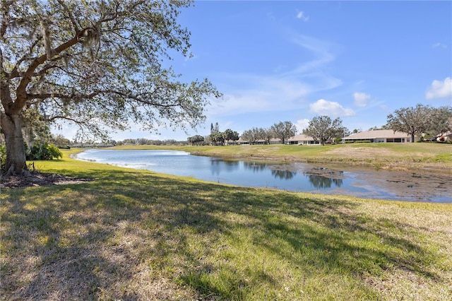 1205 Huntington Greens Dr, Sun City Center, FL 33573 - photo 29