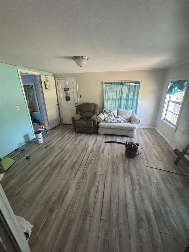 living room featuring a textured ceiling and wood finished floors