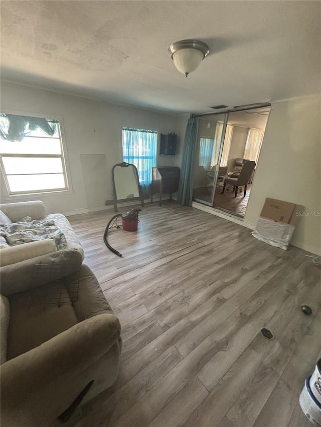 living room featuring wood finished floors