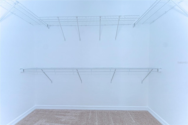 spacious closet with carpet flooring