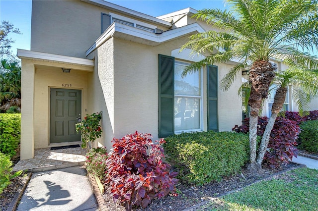 view of exterior entry with stucco siding