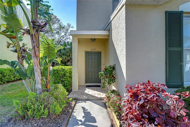 doorway to property featuring stucco siding