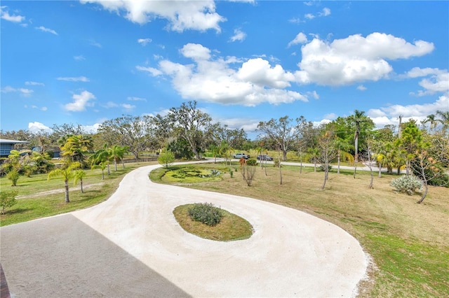 view of home's community featuring curved driveway