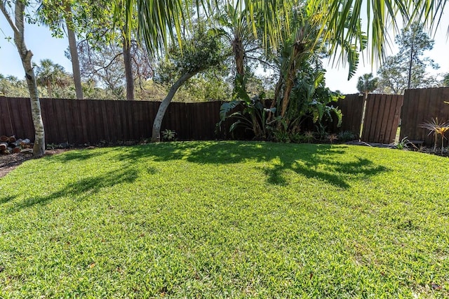 view of yard with a fenced backyard