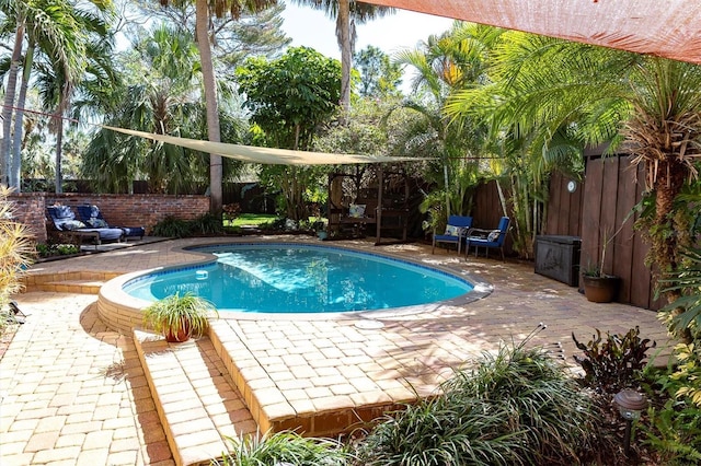 view of pool featuring a fenced in pool, a patio area, and a fenced backyard