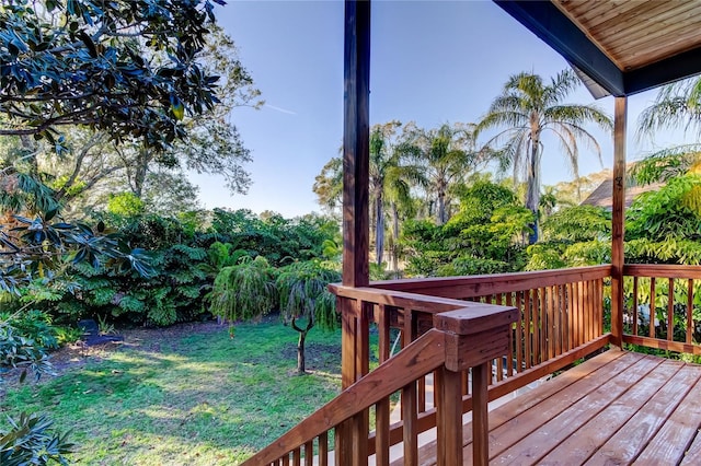 wooden deck featuring a yard