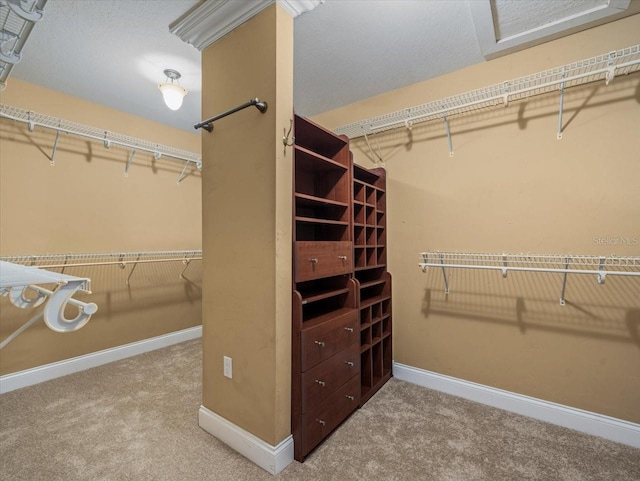 spacious closet featuring carpet flooring