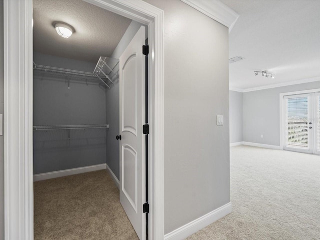 walk in closet with carpet flooring