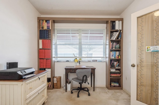 office featuring light carpet