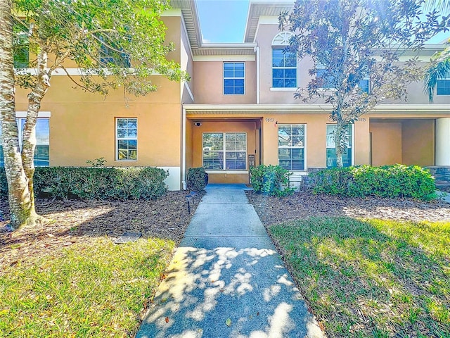 doorway to property featuring stucco siding