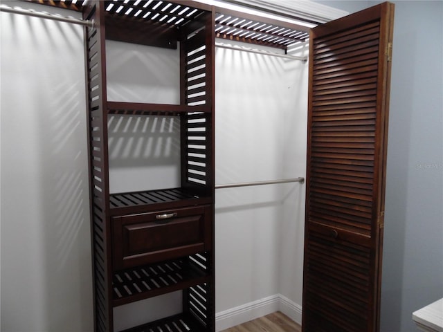 2709 Fairway View Dr, Valrico, FL 33596 - spacious closet featuring light wood-type flooring