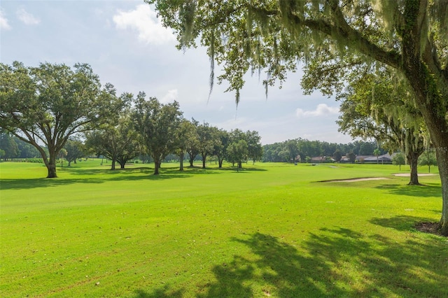2709 Fairway View Dr, Valrico, FL 33596 - surrounding community with a yard