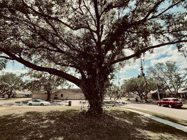 1811 Tawnee Pl, Brandon, FL 33510 - view of road featuring sidewalks and a residential view