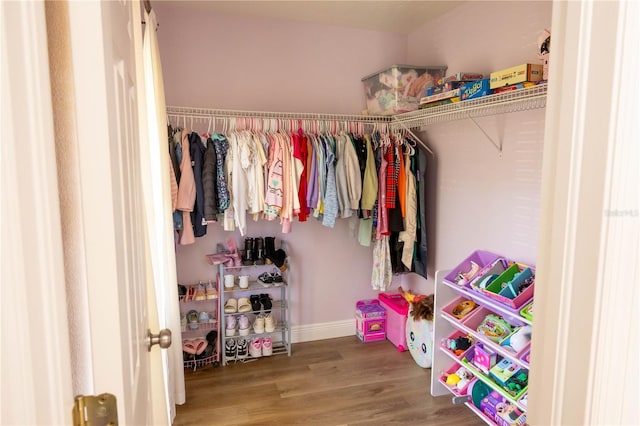 walk in closet featuring wood finished floors