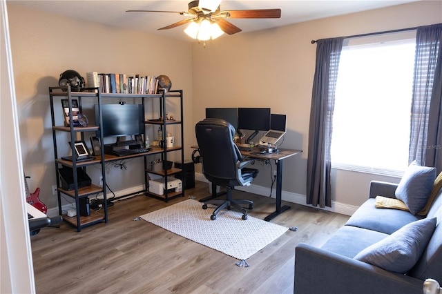 office space featuring ceiling fan, wood finished floors, a wealth of natural light, and baseboards