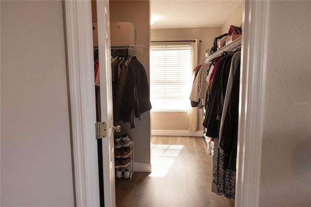 spacious closet featuring light wood-type flooring