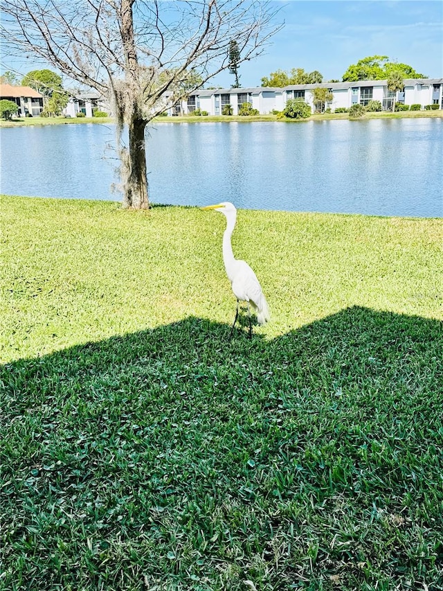 view of yard with a water view