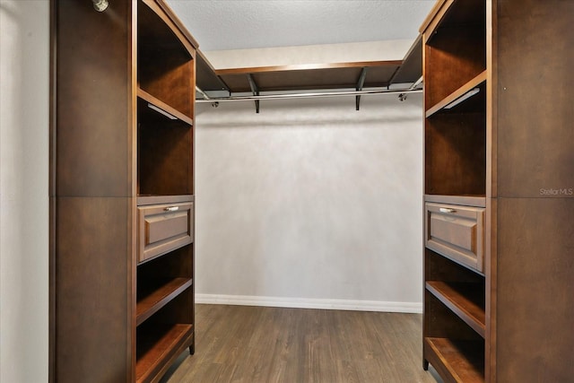 spacious closet featuring dark wood-type flooring