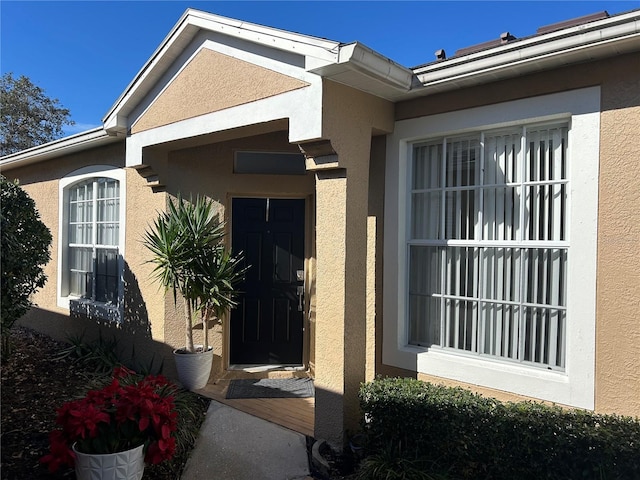 8603 Egret Point Ct, Tampa, FL 33647 - photo 4