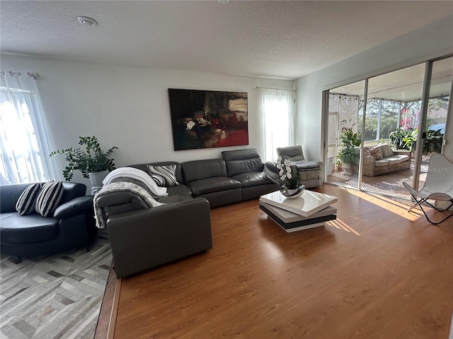 8603 Egret Point Ct, Tampa, FL 33647 - photo 10