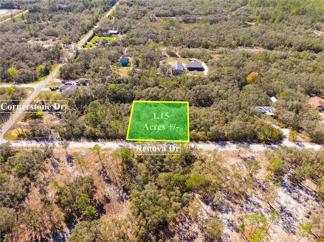 8149 Renova Dr, Webster FL, 33597 land for sale