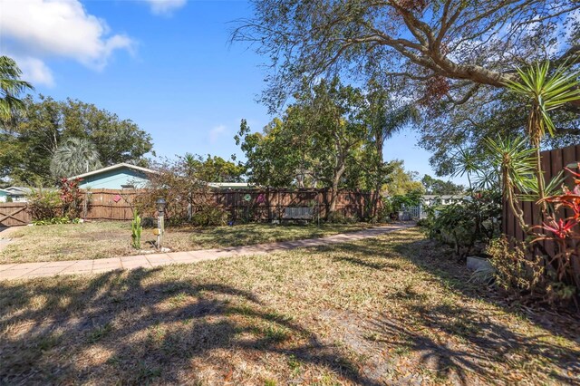 1549 San Christopher Dr, Dunedin, FL 34698 - view of yard with a fenced backyard