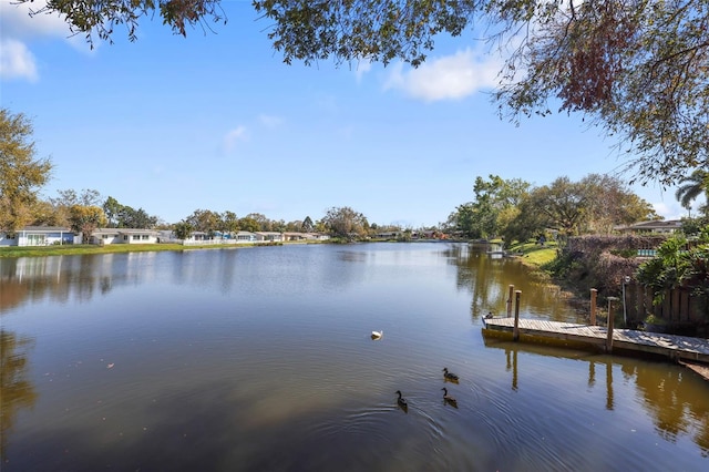 1549 San Christopher Dr, Dunedin, FL 34698 - water view featuring a boat dock
