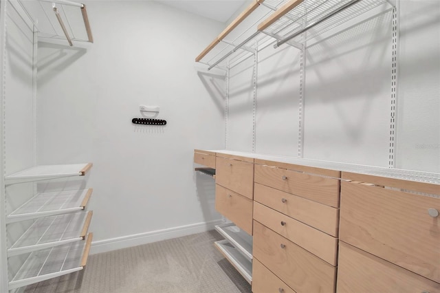 walk in closet featuring carpet flooring