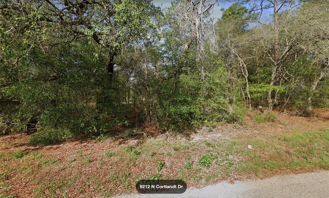 9212 N Cortlandt Dr, Citrus Springs FL, 34434 land for sale